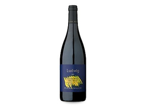 Alto Adige Pinot Nero DOC "Ludwig"