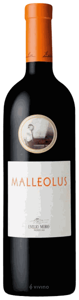 Malleolus